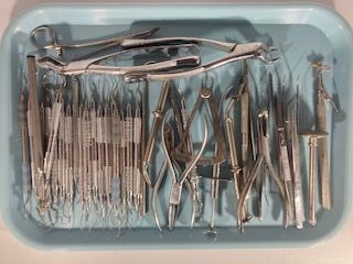 Dental Picking 101 - How to Become a Picker